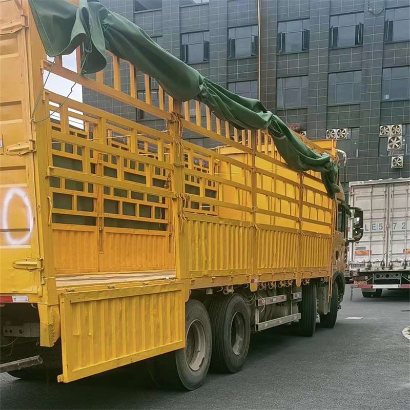 广安区吉安市物流：多元服务与高效运输线路探秘