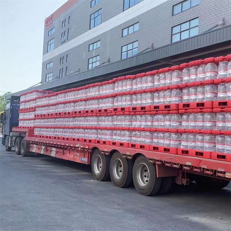 广安区贡觉县：畅享高效多元物流服务